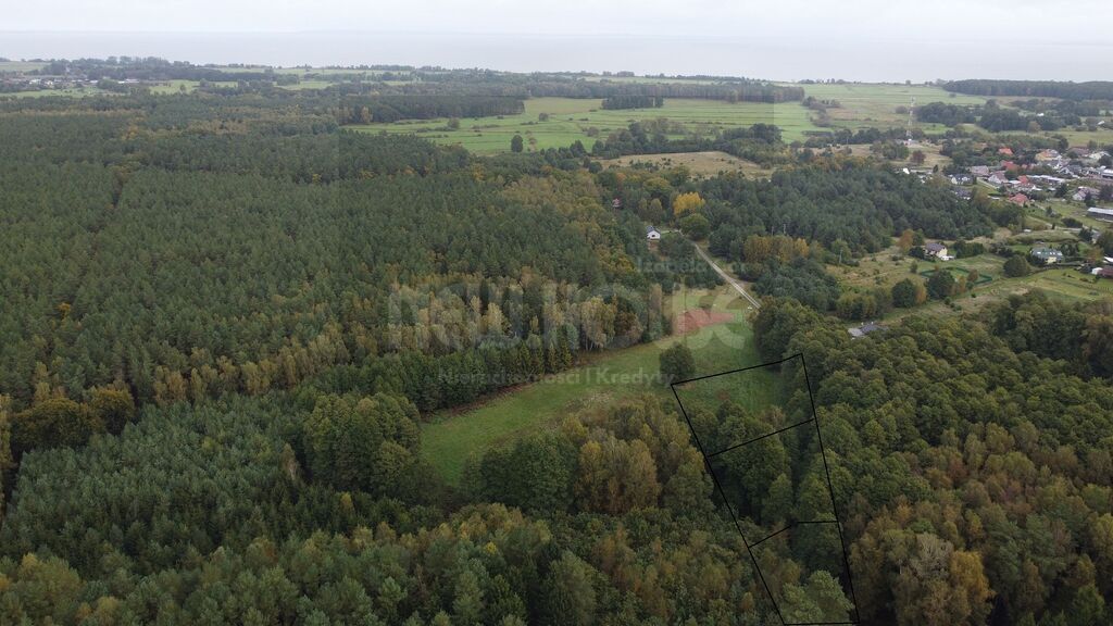 Działki z lasem Brzózki (8)