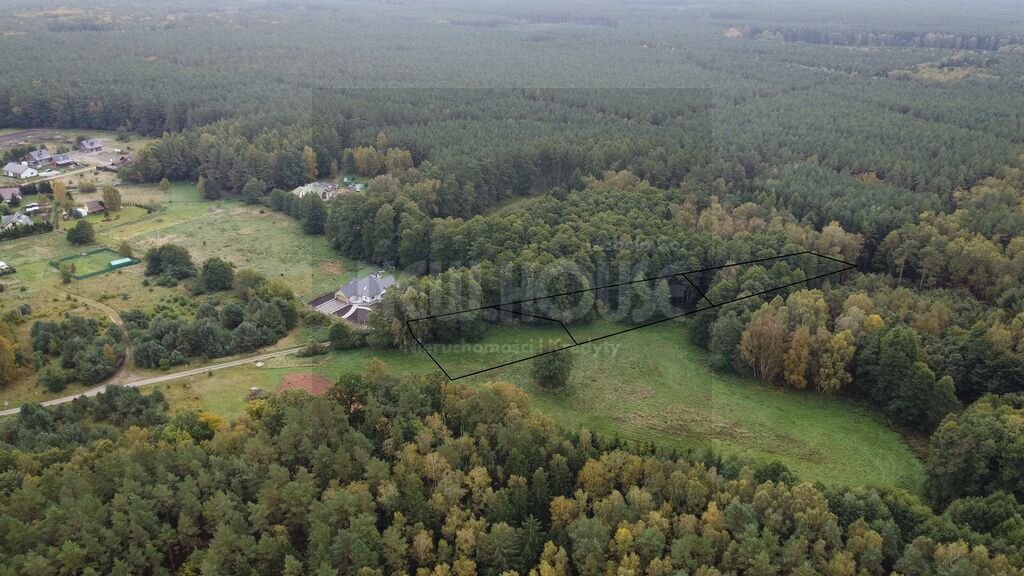 Działki z lasem Brzózki (2)