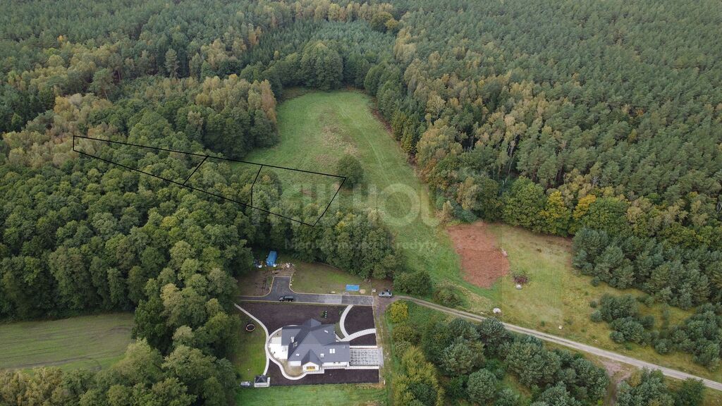 Działki z lasem Brzózki (9)