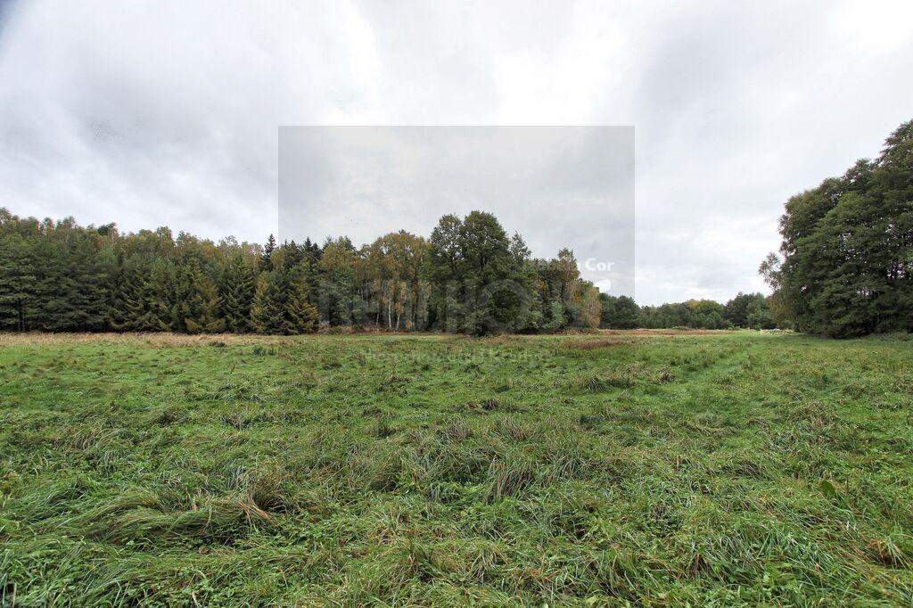 Brzózki działka z WZ (7)