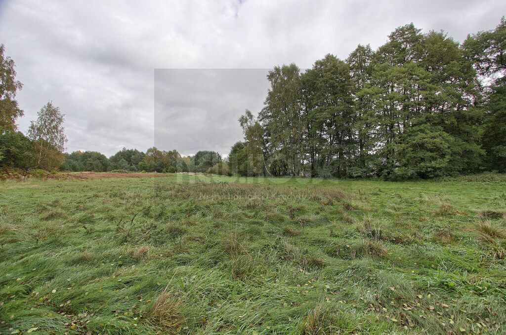 Brzózki działka z WZ (8)