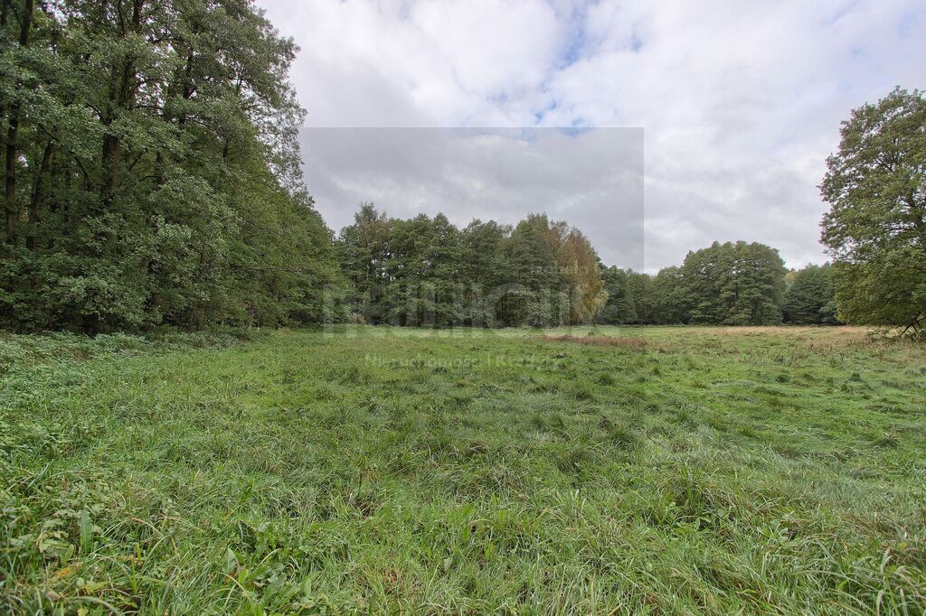 Brzózki działka z WZ (9)