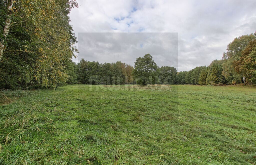 Brzózki działka z WZ (10)