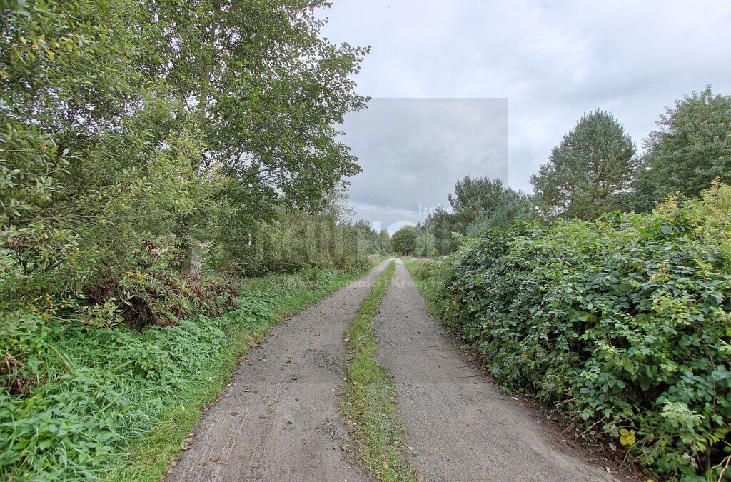 Brzózki działka z WZ (11)