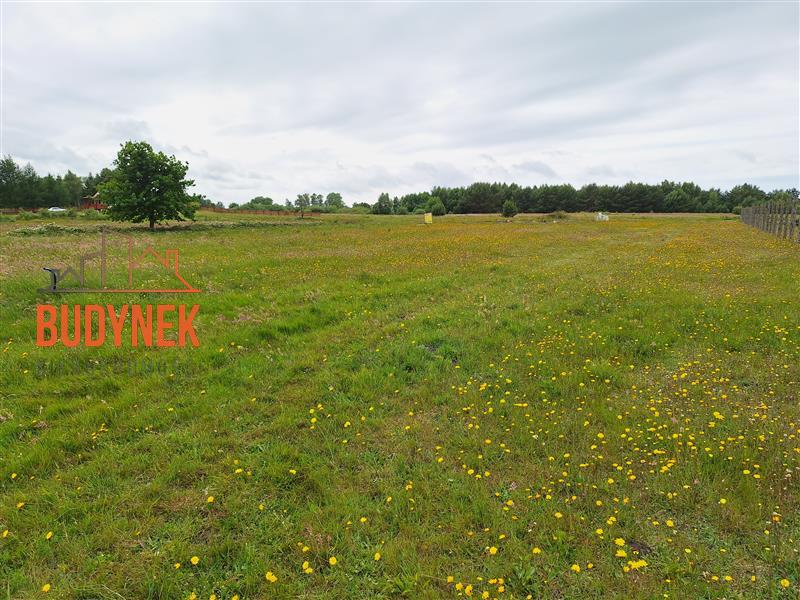 Działka budowlana - Boryszewo  (5)