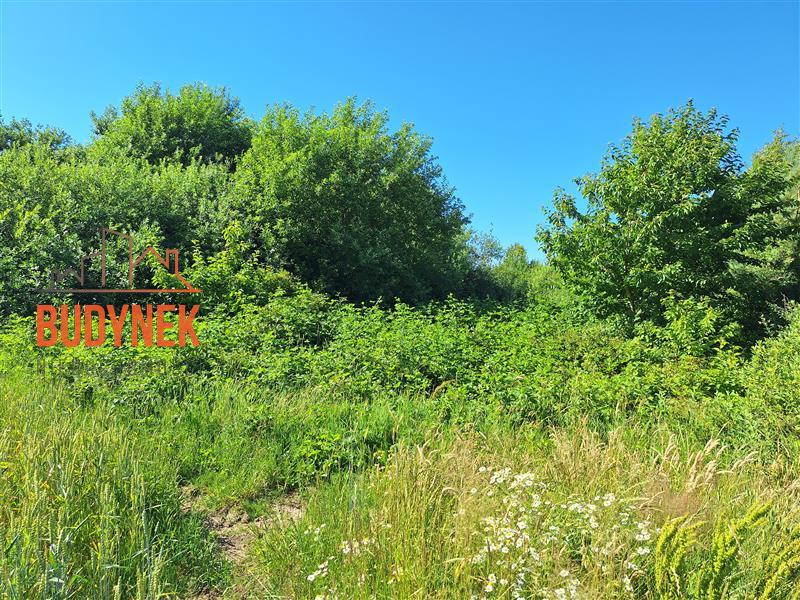 Działka budowlana - Barzowice  (10)