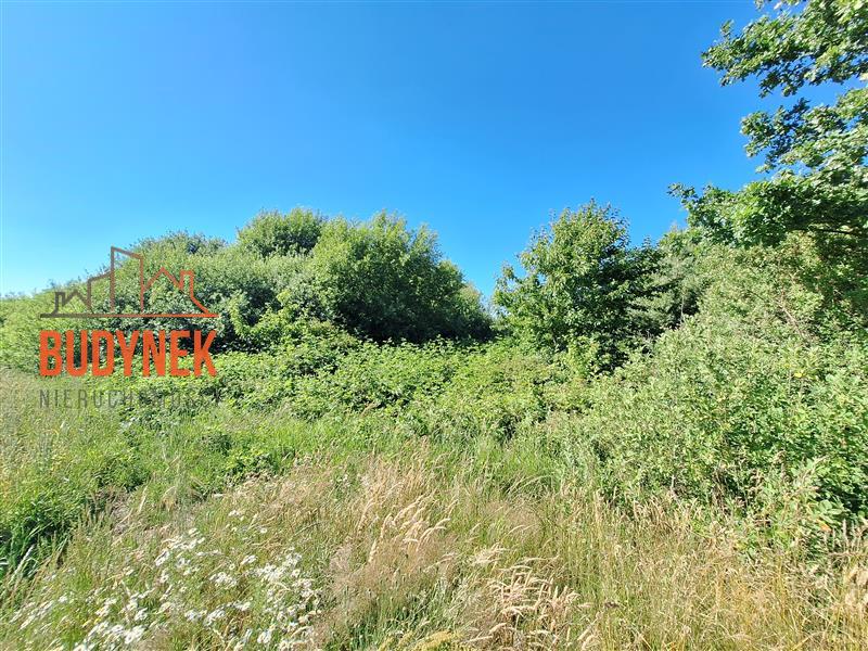 Działka budowlana - Barzowice  (6)
