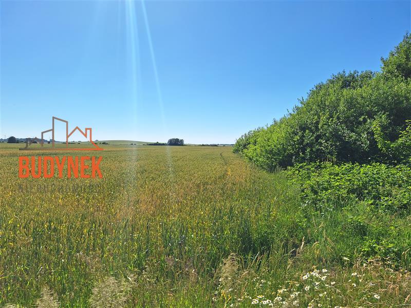 Działka budowlana - Barzowice  (7)