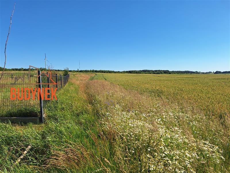 Działka budowlana - Barzowice  (8)