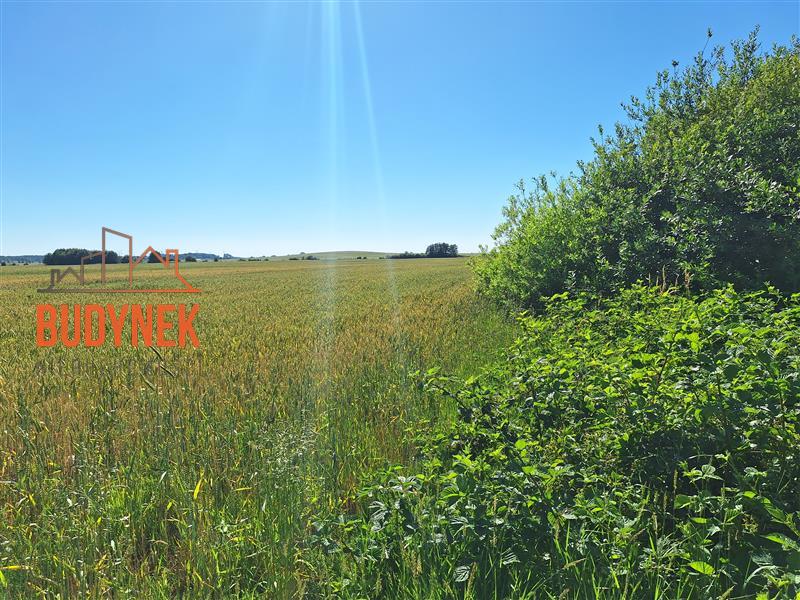 Działka budowlana - Barzowice  (9)