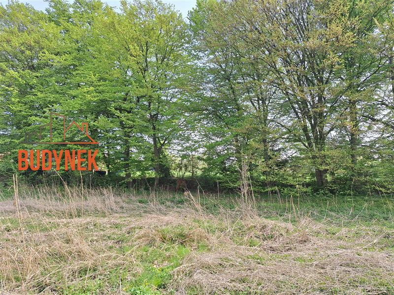 Działka budowlana - Sińczyca  (2)