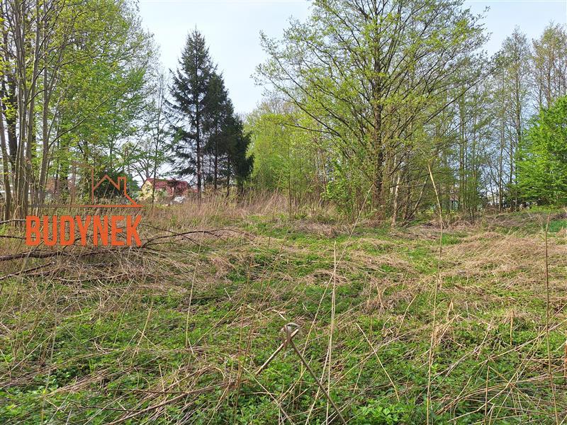 Działka budowlana - Sińczyca  (3)