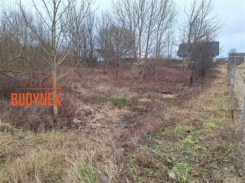 Działka budowlana - Darłowo  (3)