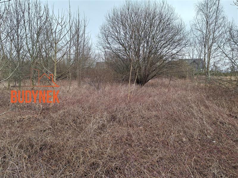 Działka budowlana - Darłowo  (8)