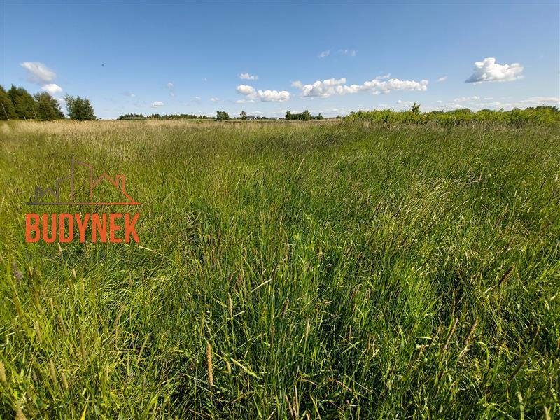 Działka budowlana - Darłowo  (10)