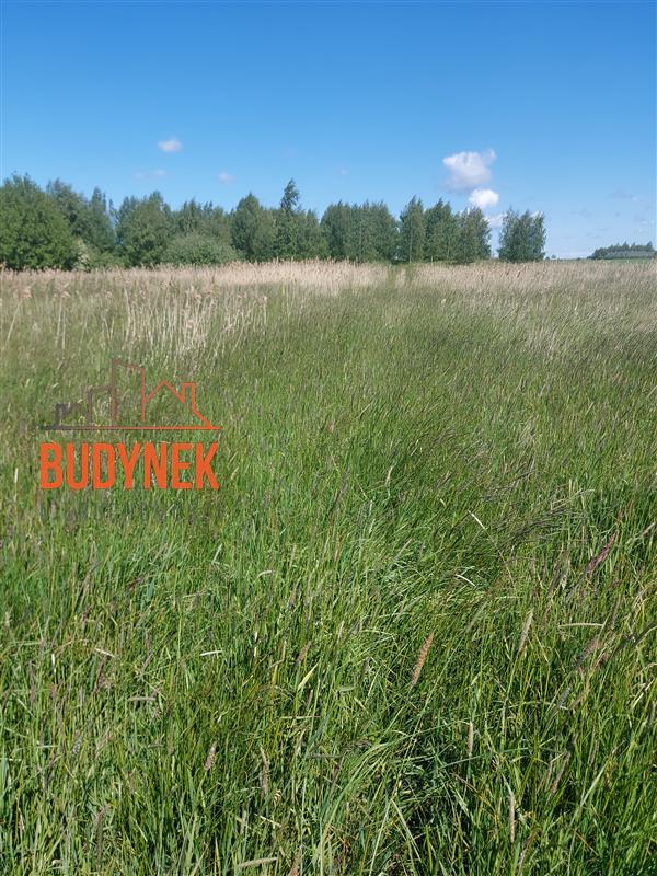 Działka budowlana - Darłowo  (8)