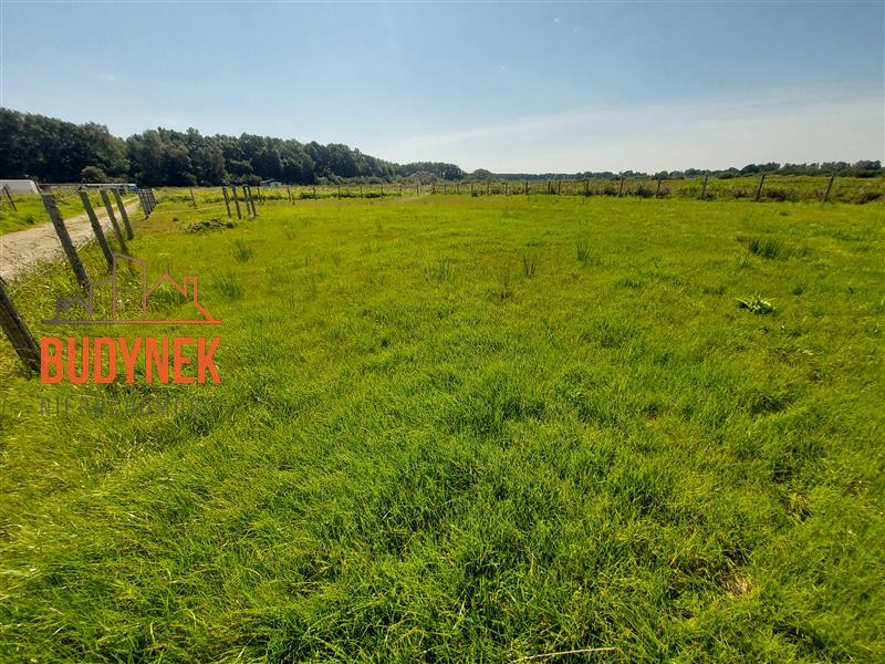 Działka rekreacyjna - Dąbki  (11)