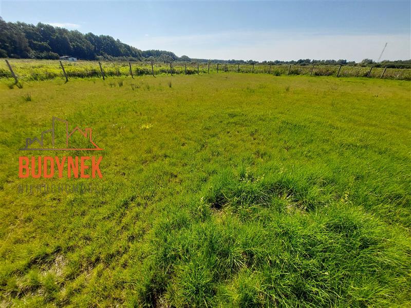 Działka rekreacyjna - Dąbki  (2)