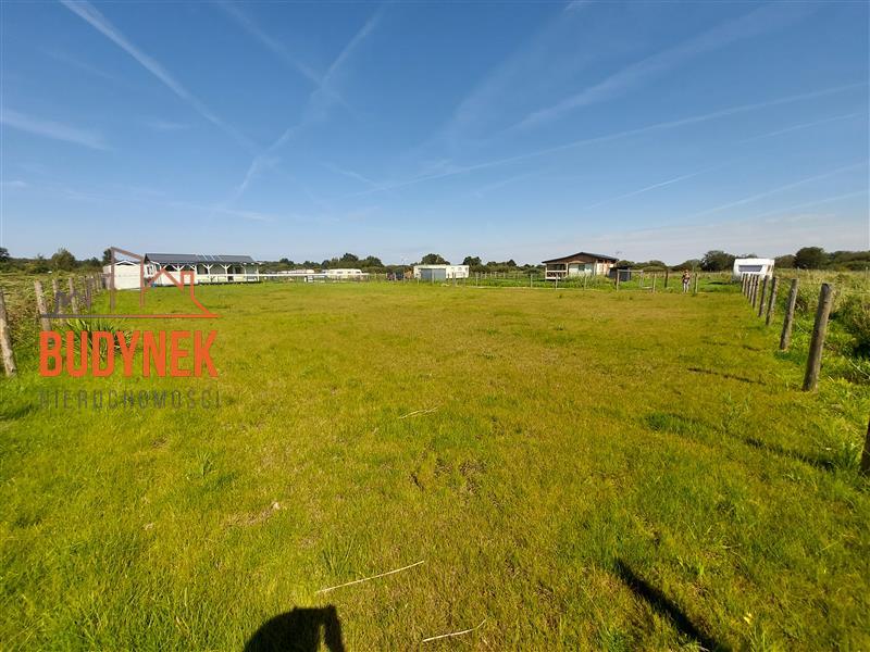 Działka rekreacyjna - Dąbki  (6)