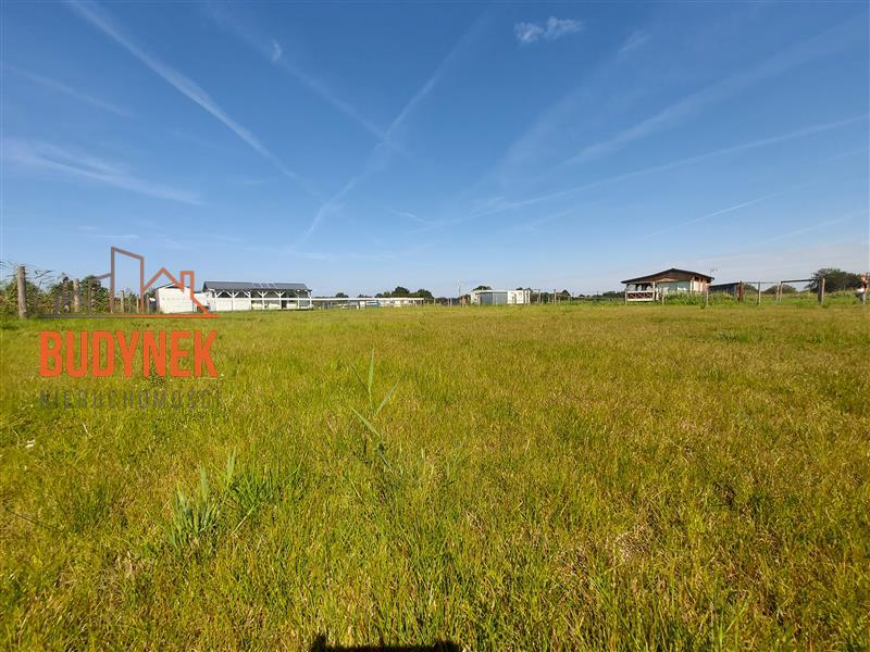 Działka rekreacyjna - Dąbki  (7)