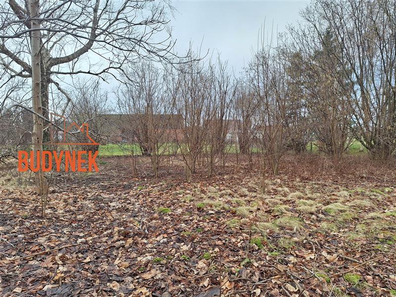 Działka budowlana - Rusko  (2)