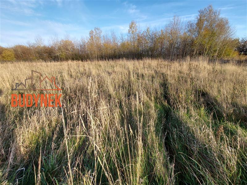 Działka budowlana - Kopań  (8)