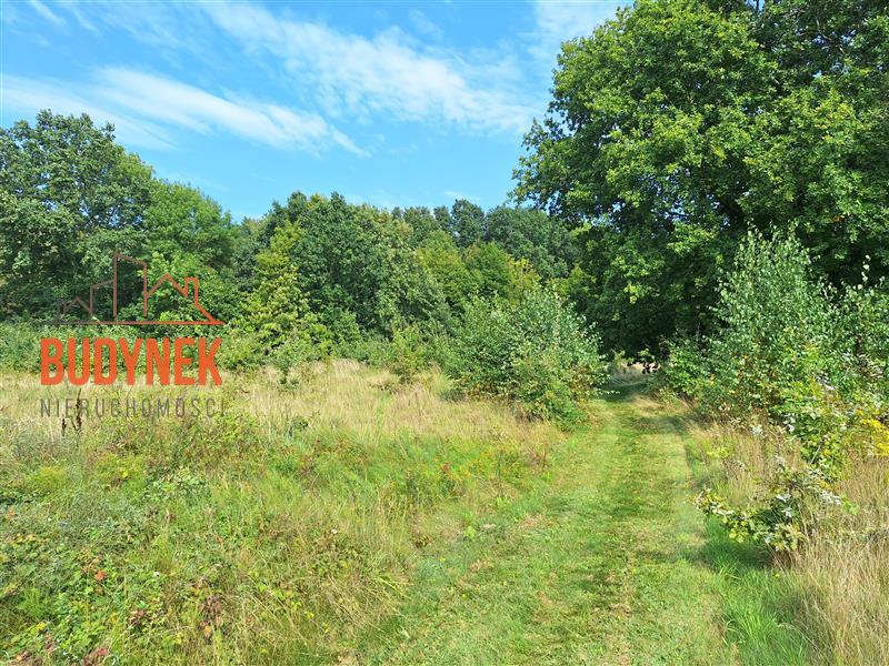 Działka budowlana - Bukowo Morskie  (10)