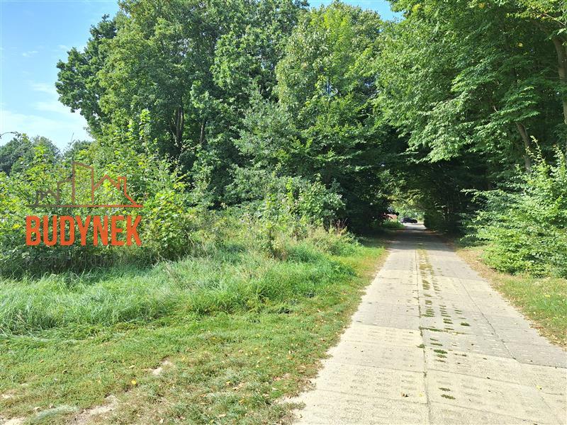 Działka budowlana - Bukowo Morskie  (5)