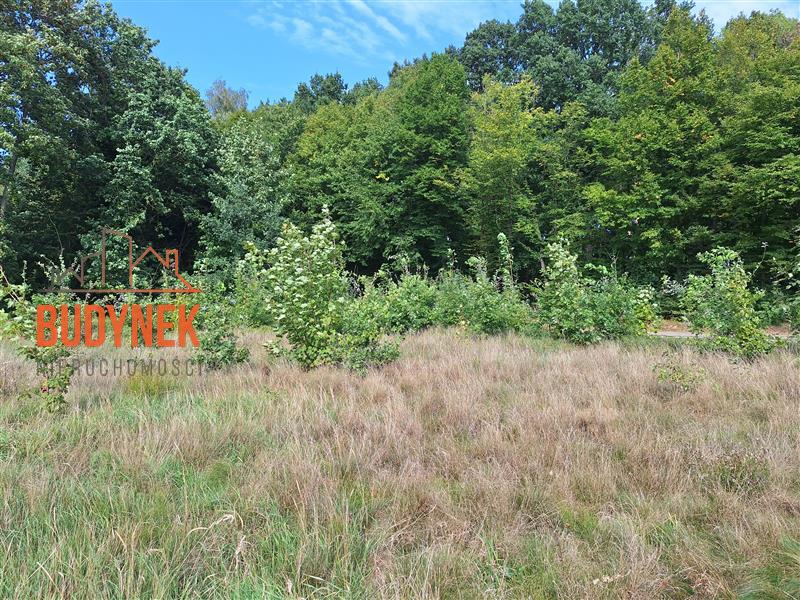 Działka budowlana - Bukowo Morskie  (8)