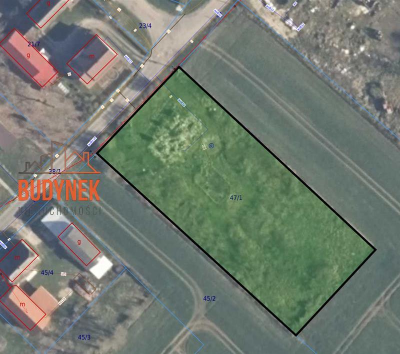 Działka siedliskowa - Malechówko  (5)