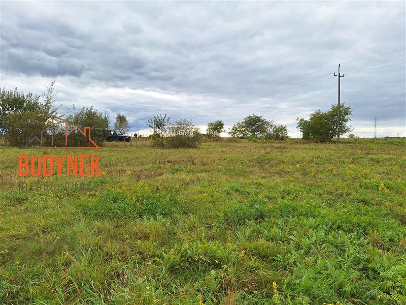 Działka - Warszkowo  (10)