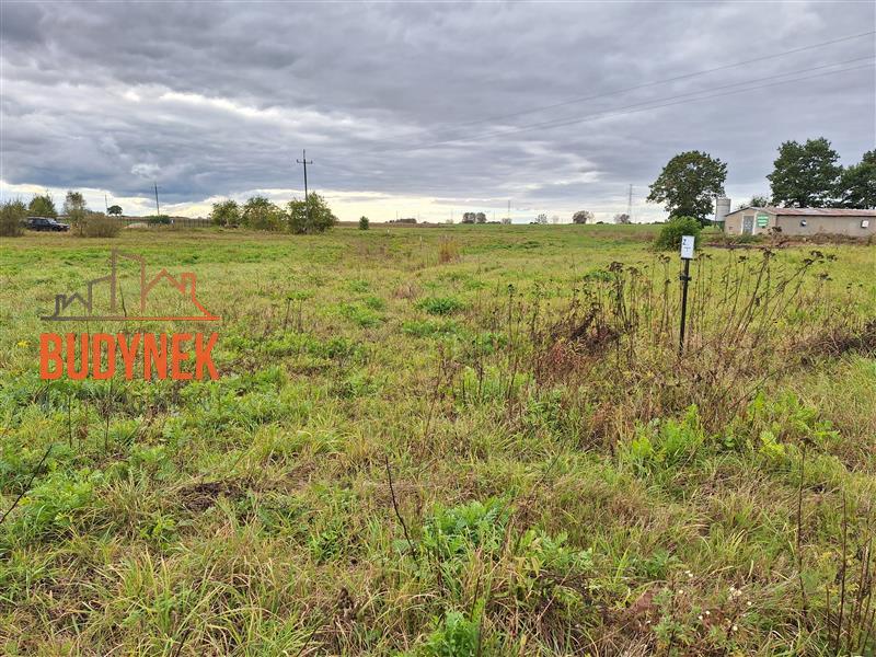 Działka - Warszkowo  (5)