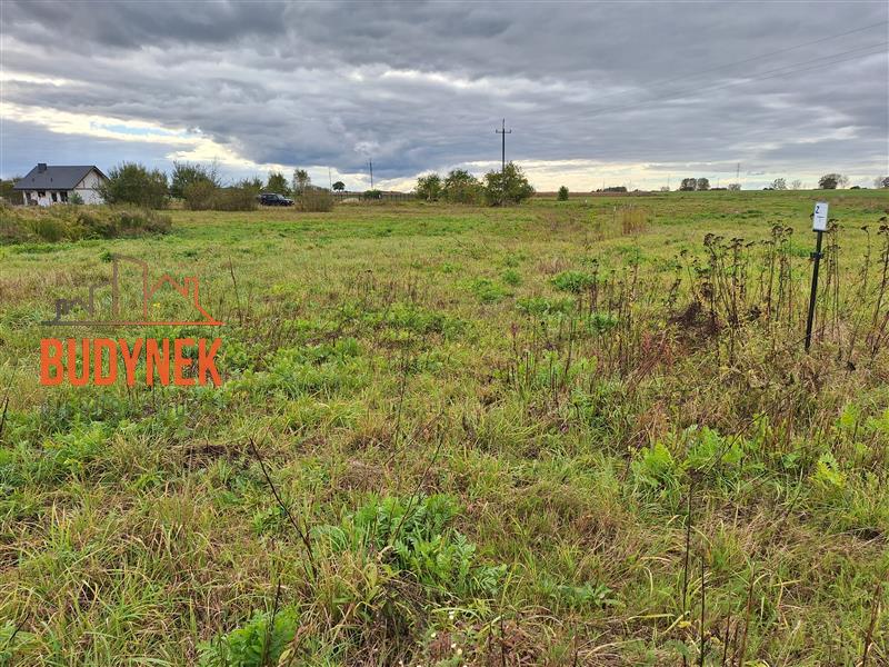Działka - Warszkowo  (6)