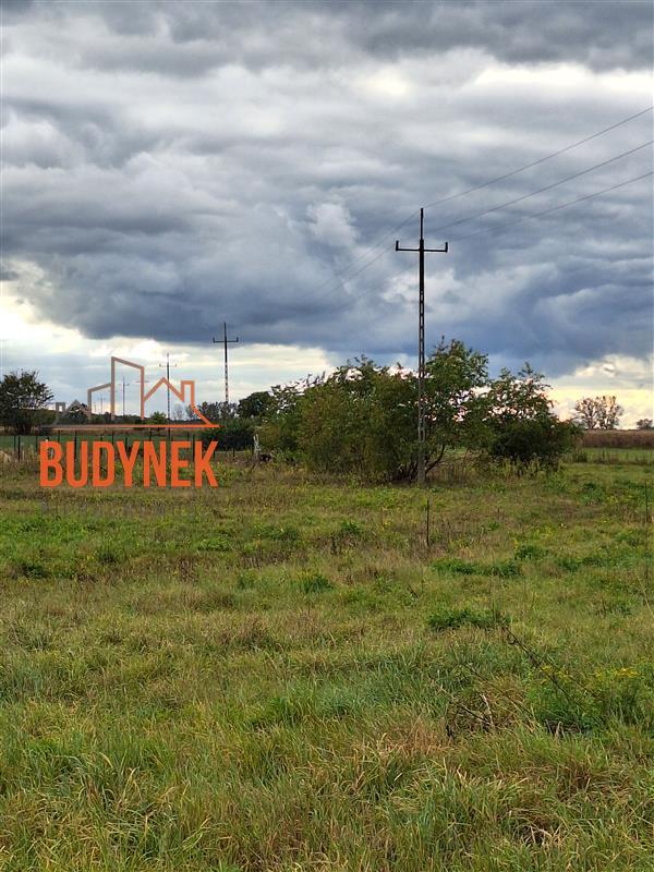 Działka - Warszkowo  (7)