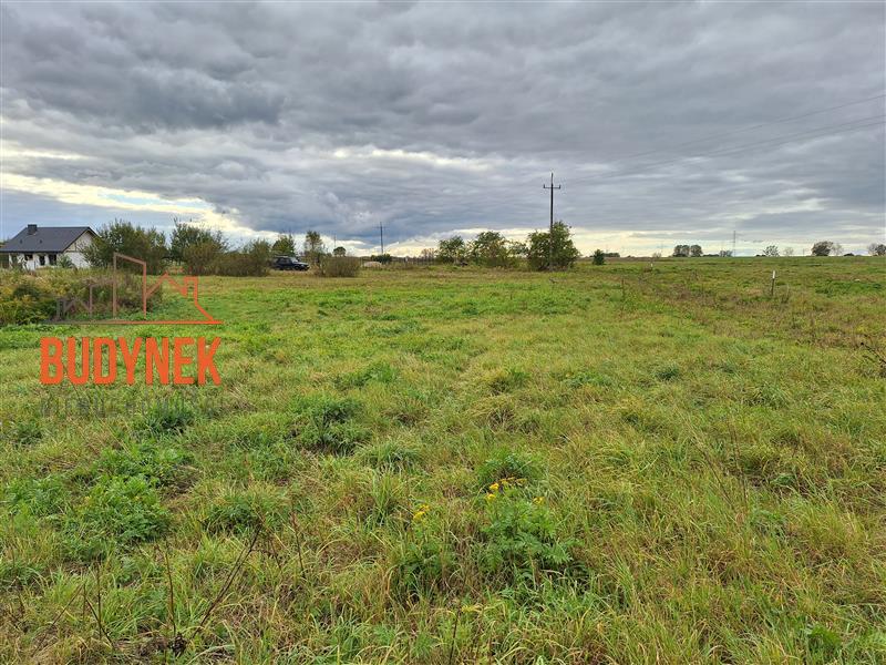 Działka - Warszkowo  (9)