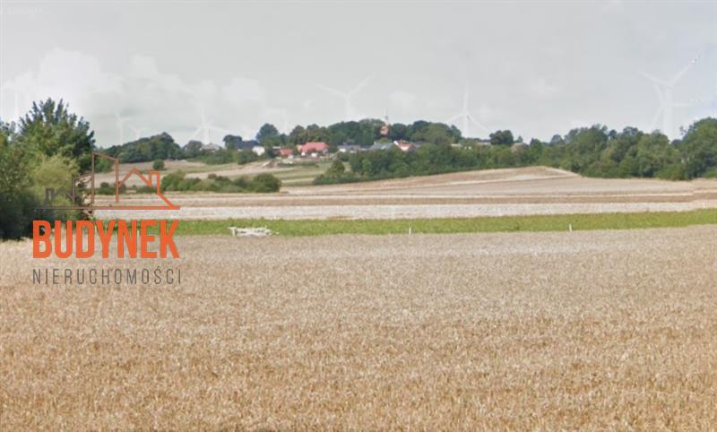 Działka rolna - Cisowo  (3)