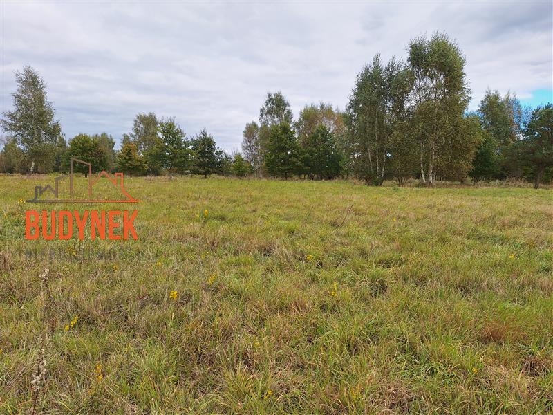 Działka budowlana - Warszkowo  (12)