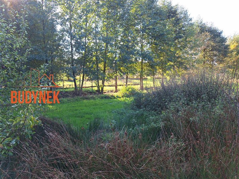 Działka budowlana - Rusko  (10)