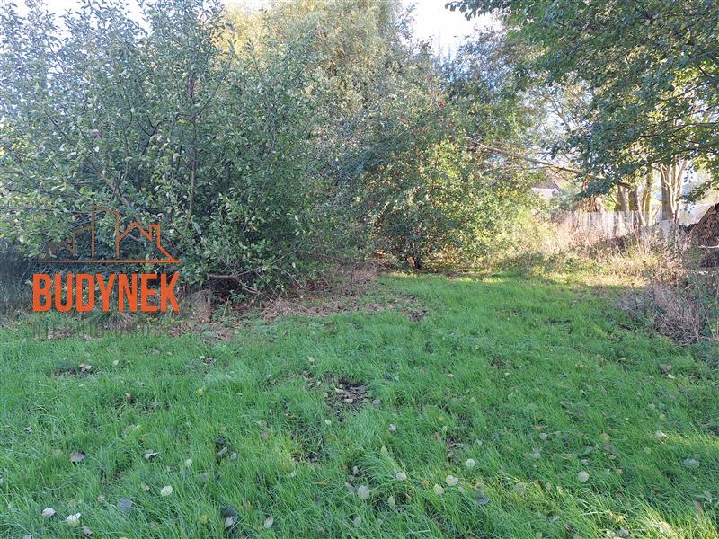 Działka budowlana - Rusko  (12)
