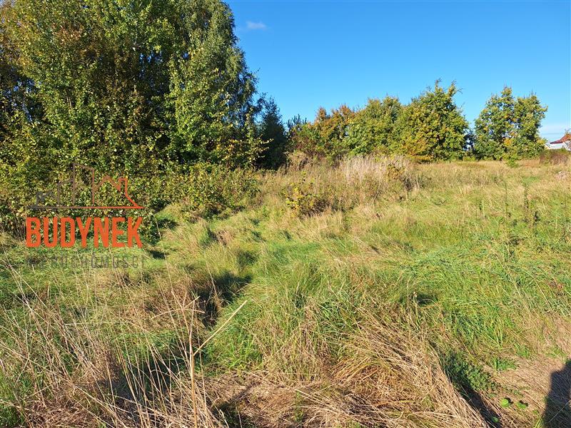 Działka budowlana - Rusko  (4)