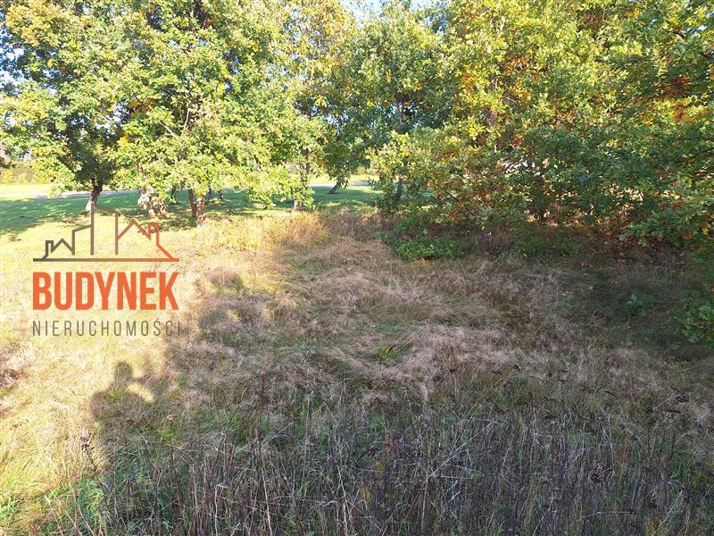 Działka budowlana - Rusko  (8)