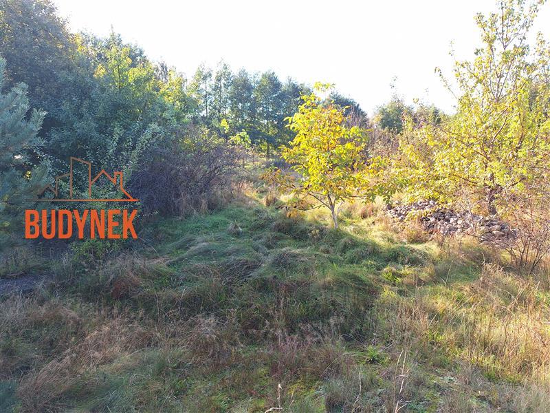Działka budowlana - Rusko  (9)