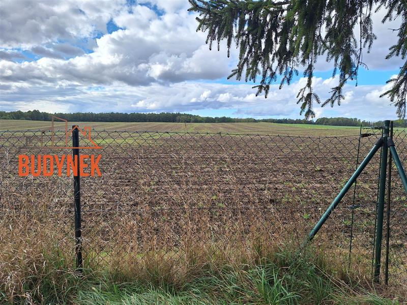 Działka budowlana - Kosierzewo  (13)