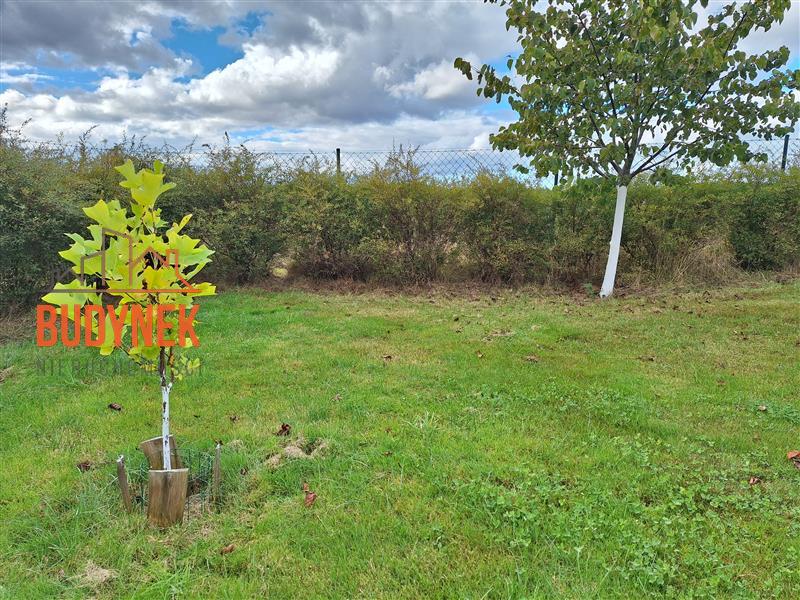 Działka budowlana - Kosierzewo  (9)