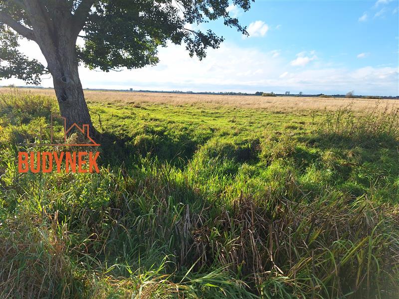 Działka budowlana - Rusko  (12)