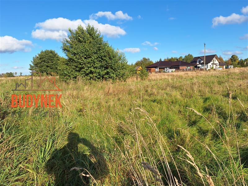 Działka budowlana - Rusko  (14)