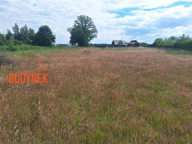 Działka budowlana - Wicie  (7)