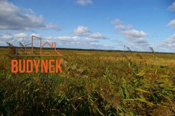 Działka rolna - Darłowo  (6)