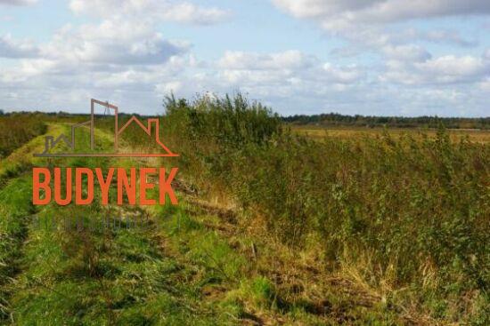 Działka rolna - Darłowo  (8)