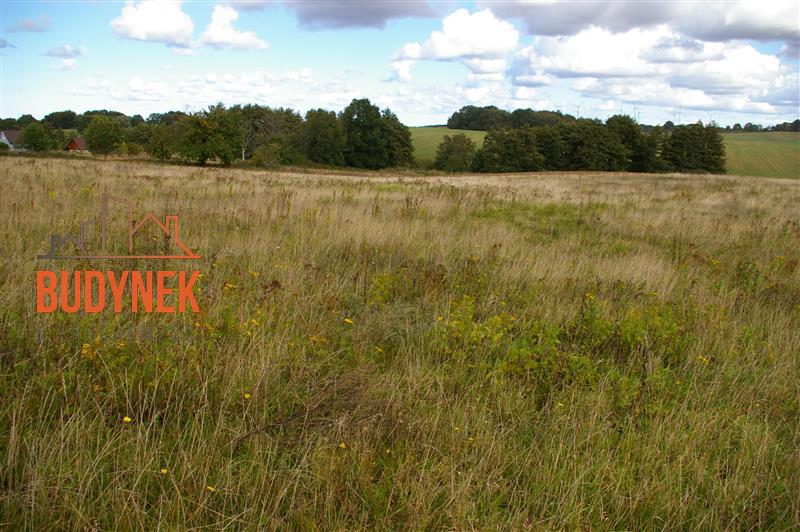 Działka budowlana - Zakrzewo  (12)